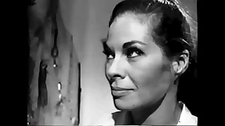 243 bdsm porn videos